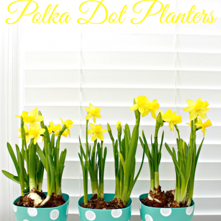 DIY Spring Polka Dot Planters