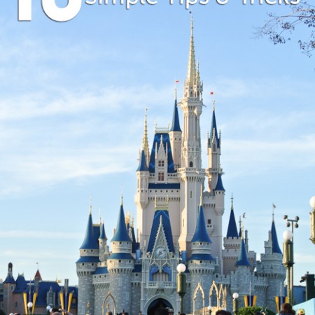 15 Simple Tips and Tricks for you Disneyworld Vacation
