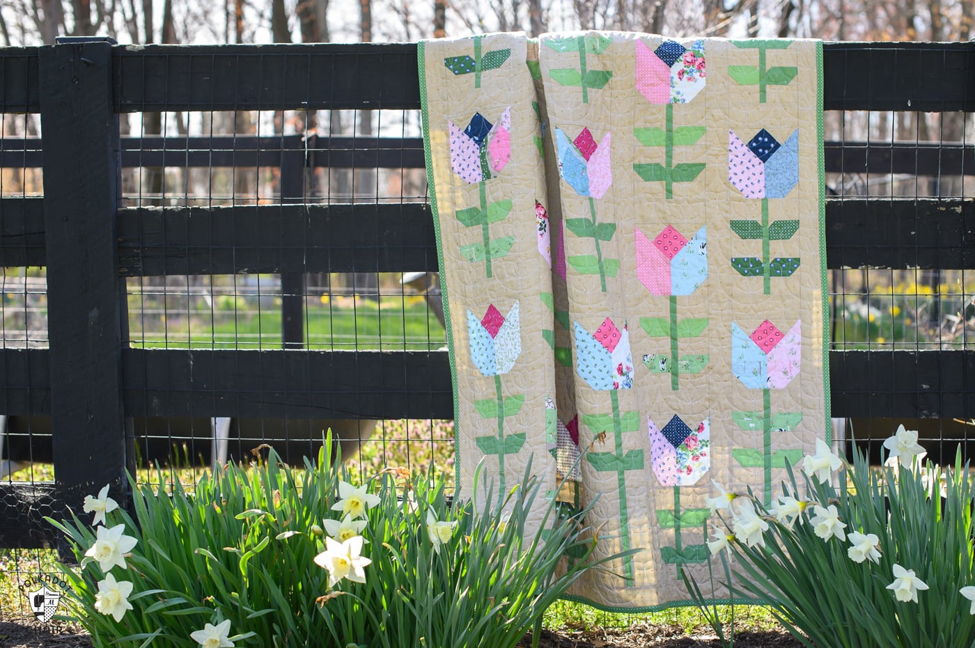 Tulip quilt in garden with daffodils