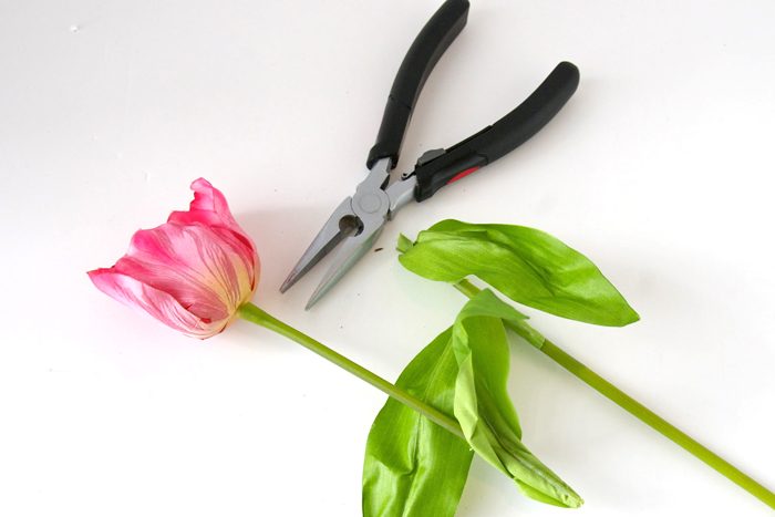 Learn how to make a Tulip Wreath