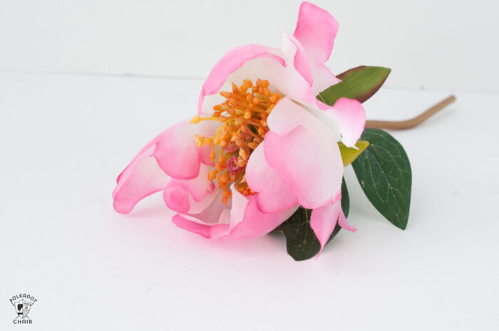 pink flower on white table