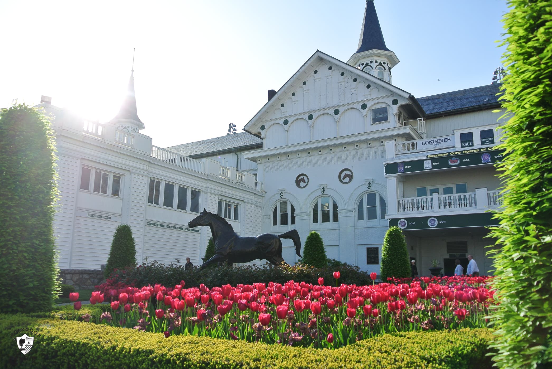 early morning shot of paddock at churchill downs