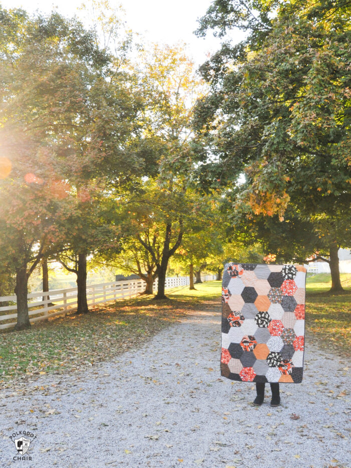 sewn hexagon quilt being held by person outdoors