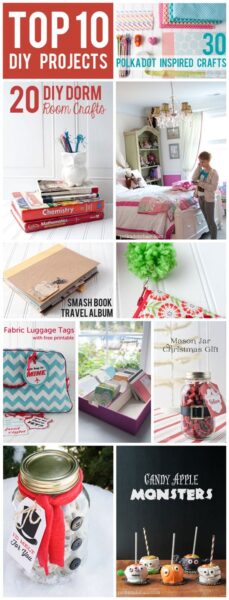 Top 10 DIY Projects of 2013, the Polka Dot Chair DIY Blog