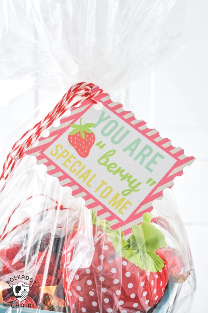 Berry Basket Gift idea and free printable "You are Berry Special" Tags... cute