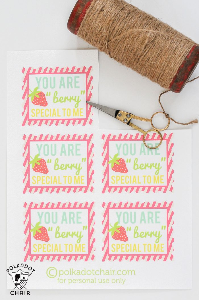 Berry Basket Gift idea and free printable "You are Berry Special" Tags... cute