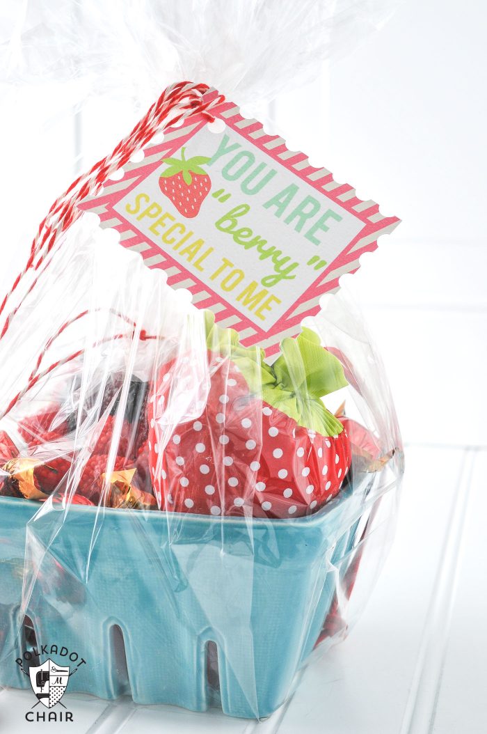 Berry Basket Gift idea and free printable "You are Berry Special" Tags... cute