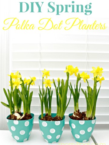 DIY Spring Polka Dot Planters
