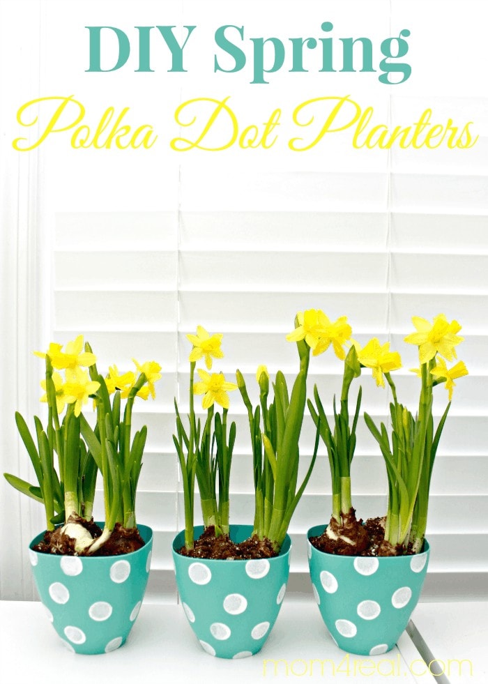 DIY Spring Polka Dot Planters by Mom 4 Real