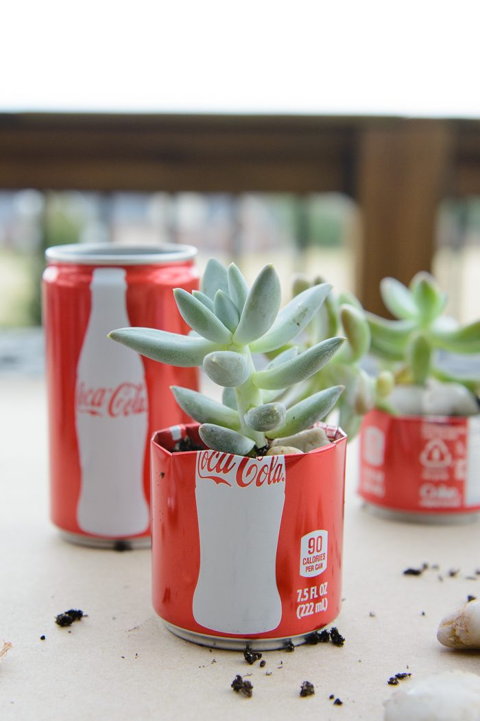 DIY Coke Can Succulent Planter- a clever way to recycle those cute mini coke cans