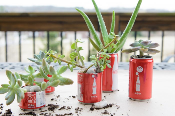 DIY Coke Can Succulent Planter- a clever way to recycle those cute mini coke cans