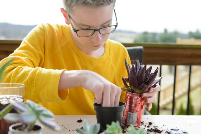 DIY Coke Can Succulent Planter- a clever way to recycle those cute mini coke cans