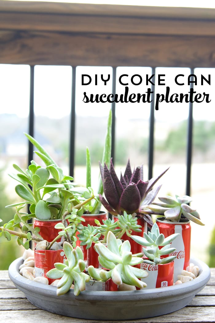 DIY Coke Can Succulent Planter- a clever way to recycle those cute mini coke cans