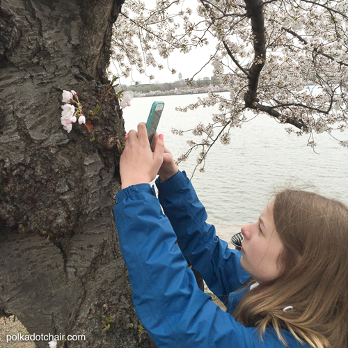 10 Tips for Traveling to Washington DC with Teens Tweens