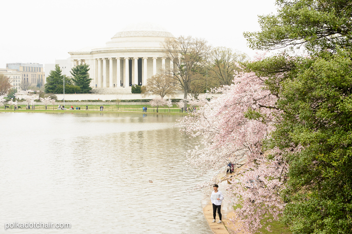 10 Tips for Traveling to Washington DC with Teens & Tweens