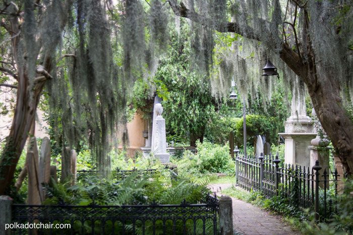 Things to do in Charleston, SC