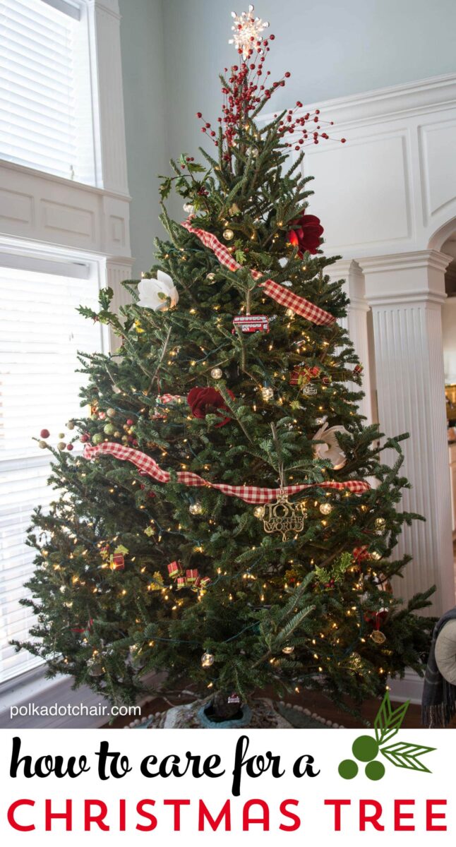 How To Make A Real Christmas Tree Last Longer