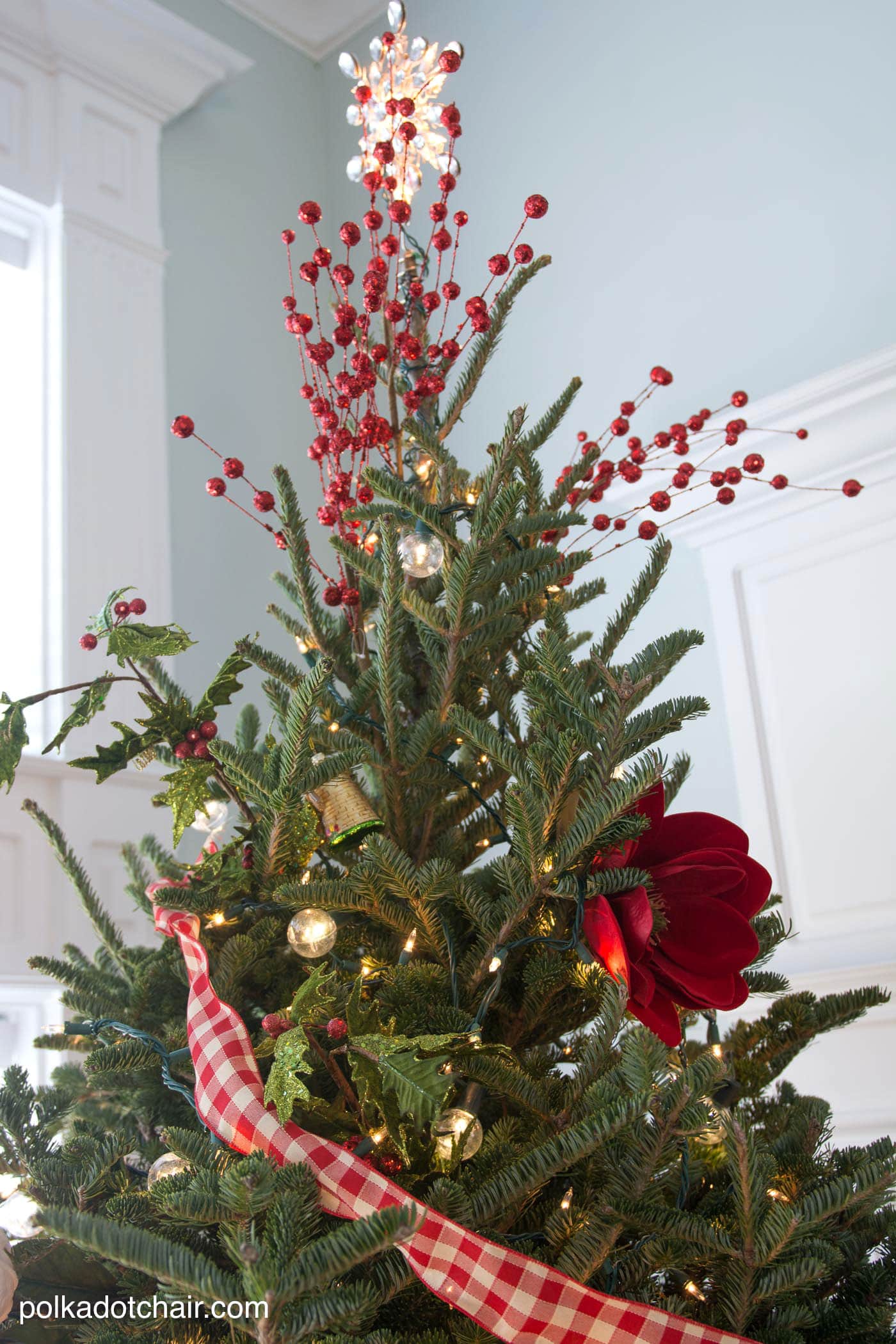 Tips for caring for a Christmas Tree and keeping fresh Christmas trees looking great all season