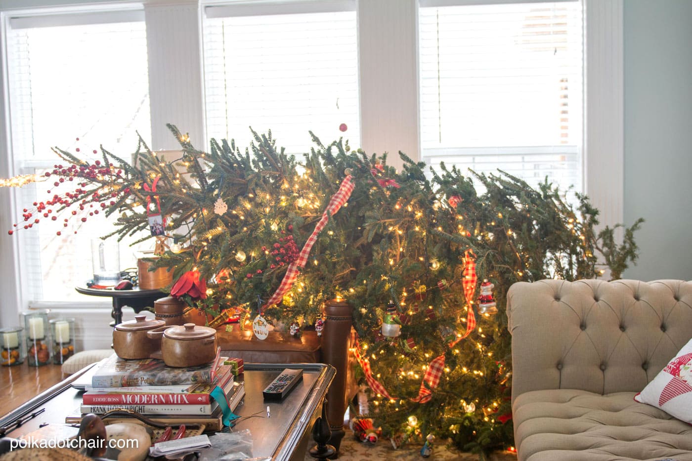 Tips for caring for a Christmas Tree and keeping fresh Christmas trees looking great all season