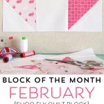 The February Block of the Month on polkadotchair.com - A free pattern for a Shoo Fly Quilt Block
