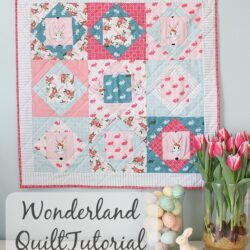 Square in Square Mini Quilt Tutorial by Amy Smart of Diary of a Quilter