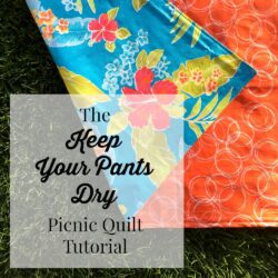 The Keep Your Pants Dry Waterproof picnic blanket tutorial by Simple Simon and Co.