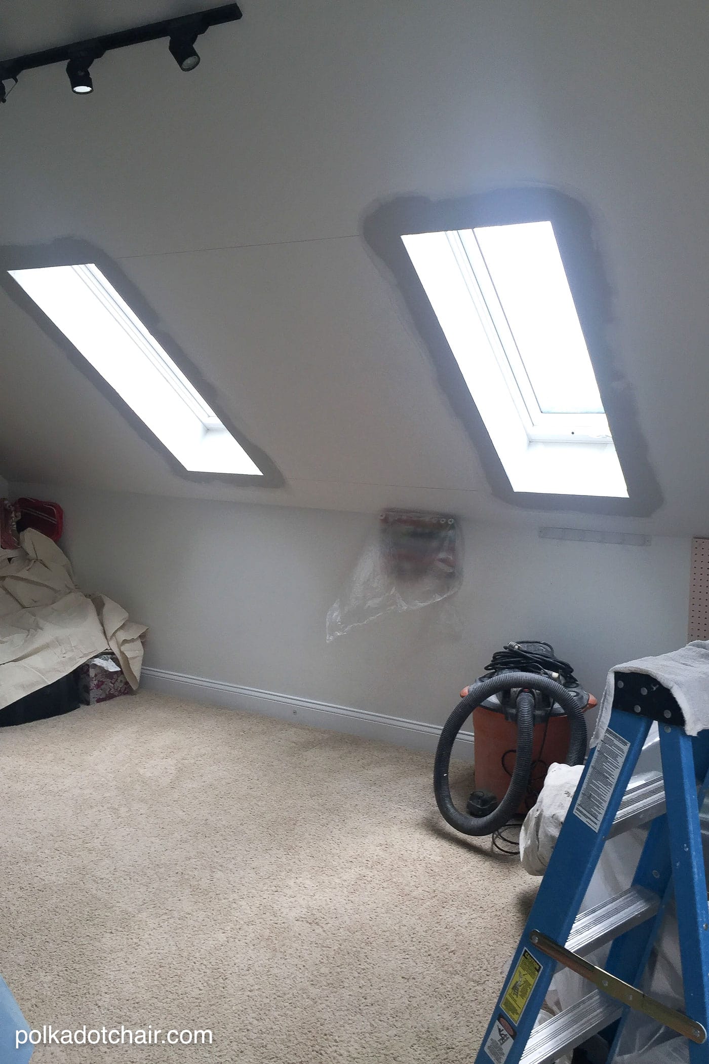 Skylights in ceiling