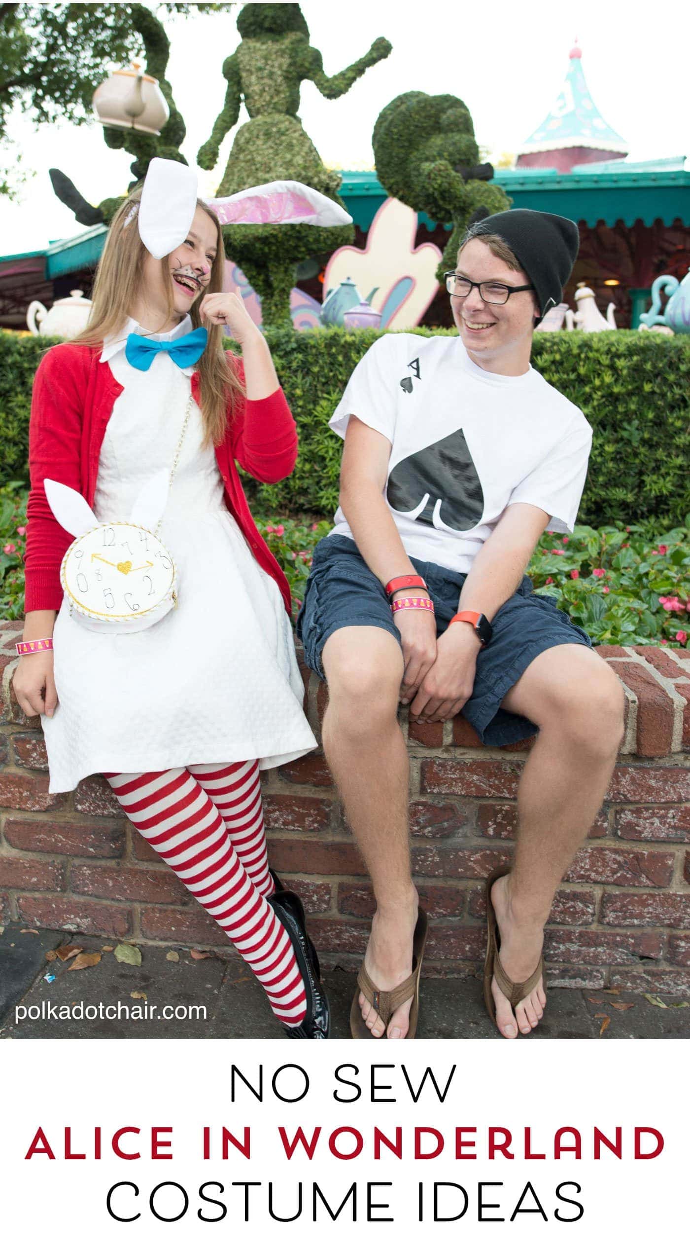 No-Sew Alice in Wonderland Costumes & Ideas