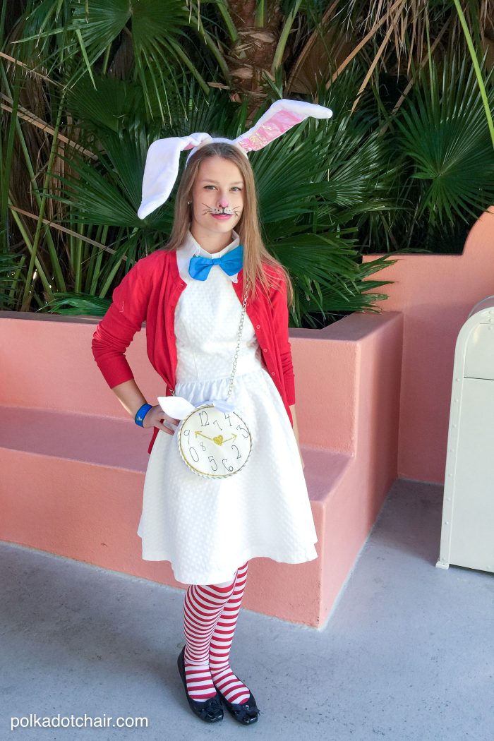 Cute ideas for No Sew Alice in Wonderland costumes, a cute last minute group costume idea