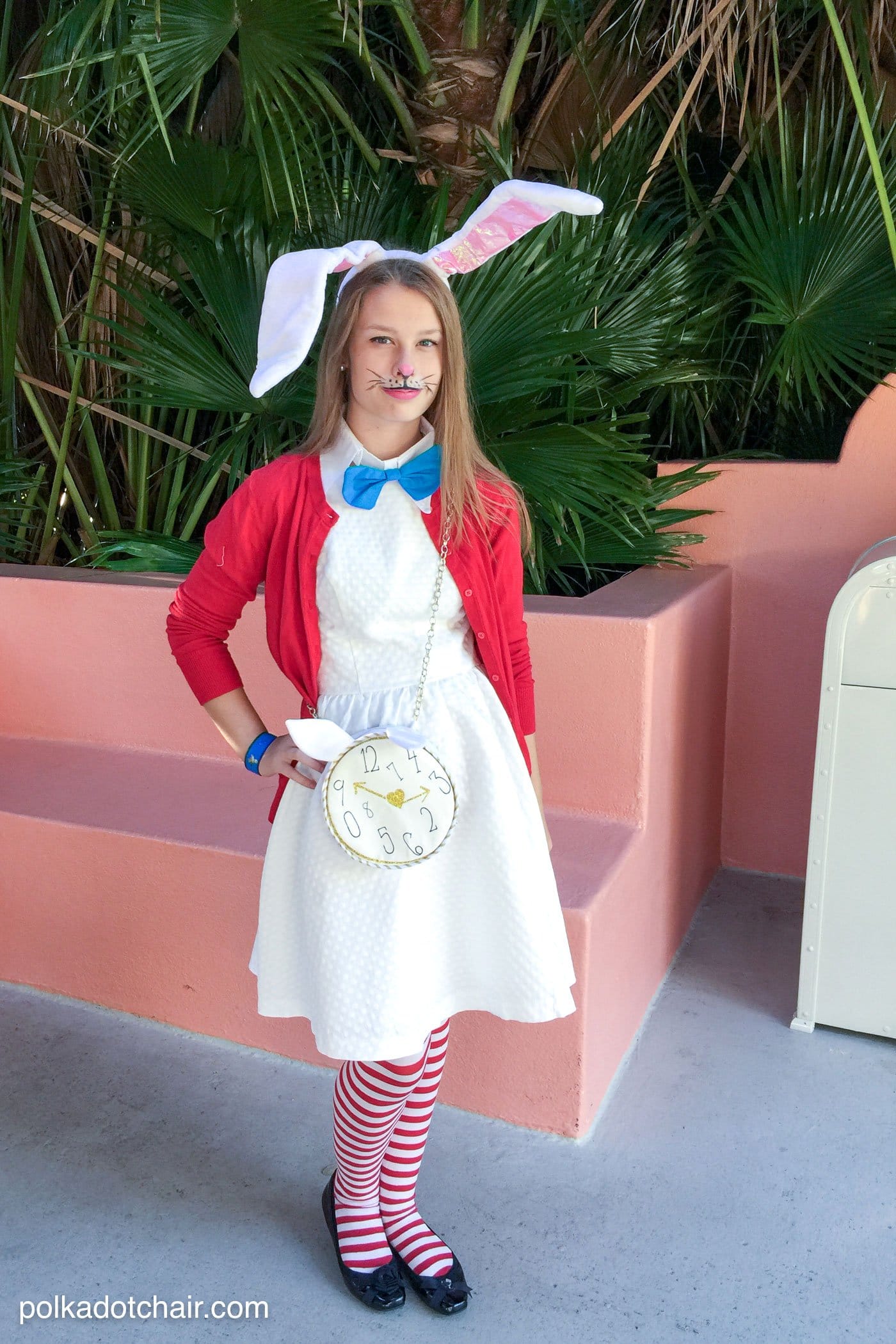 No Sew Alice In Wonderland Costume Ideas The Polka Dot Chair No Sew Alice In Wonderland Costume Ideas The Polka Dot Chair