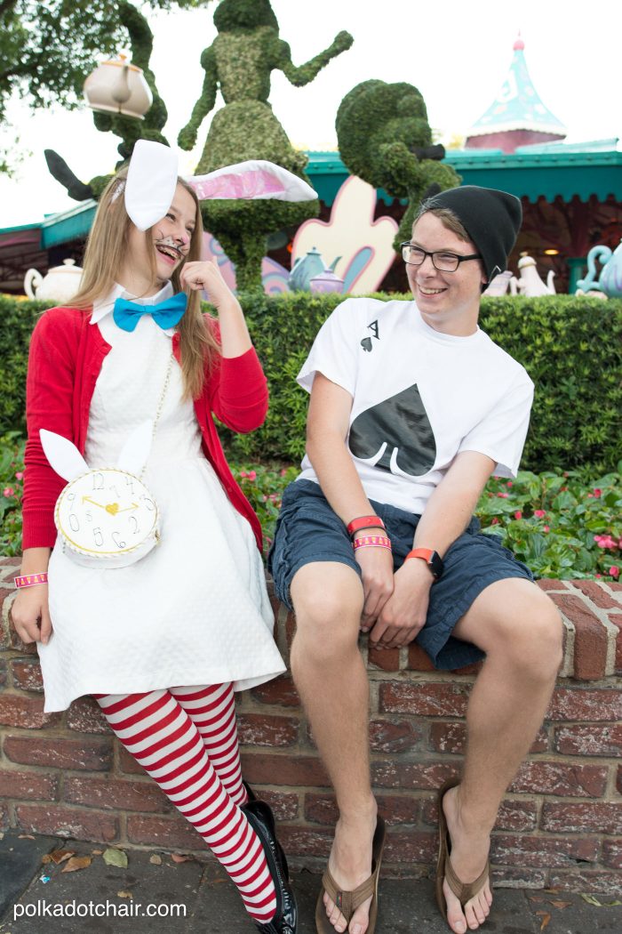 Cute ideas for No Sew Alice in Wonderland costumes, a cute last minute group costume idea