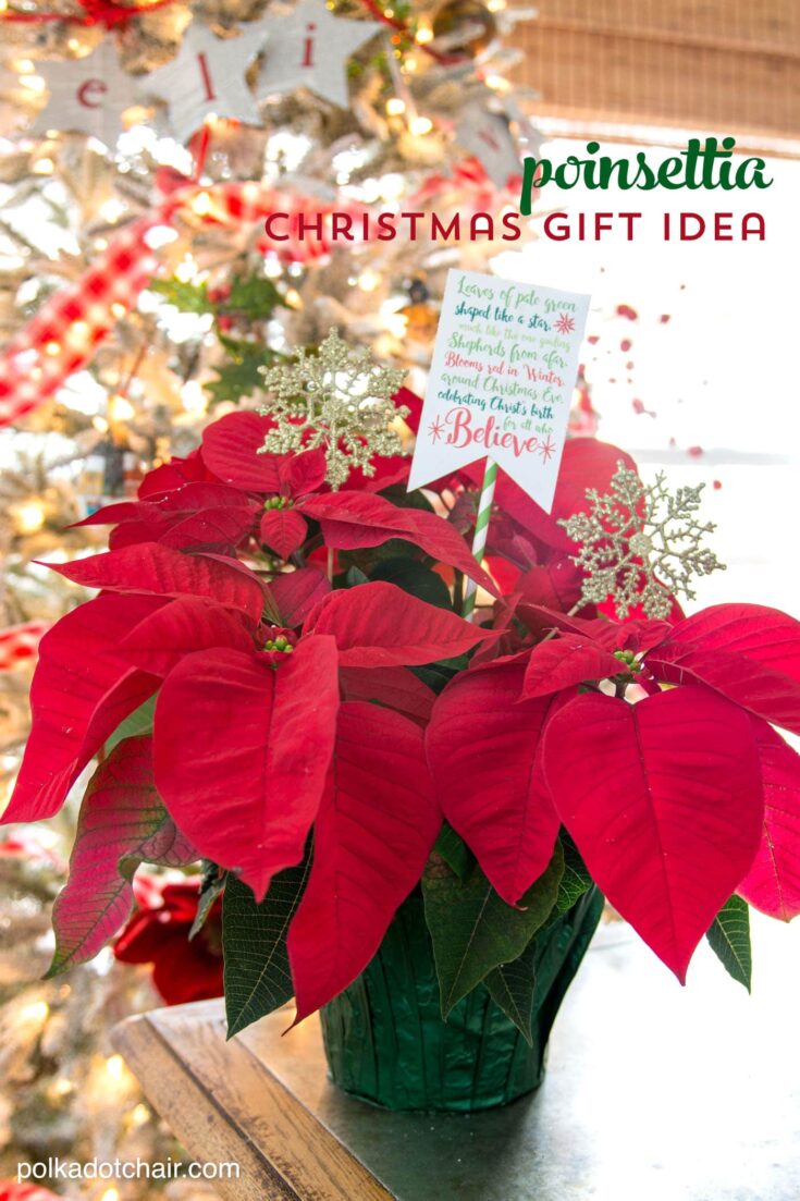 25+ Christmas Neighbor Gift Ideas with Printables - The Polka Dot Chair