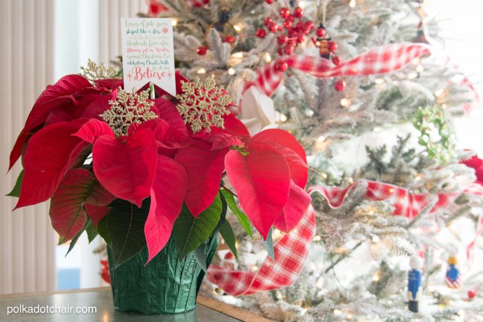 Cute Christmas Neighbor Gift ideas-a Poinsettia decorated with ornament tags and a Poinsettia poem attached - from polkadotchair.com