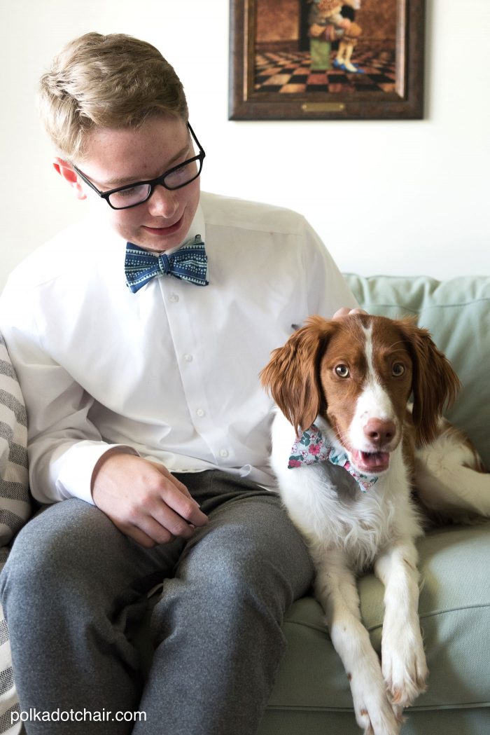 Learn how to sew a bow tie that really ties! A free simple free sewing tutorial on polkadotchair.com