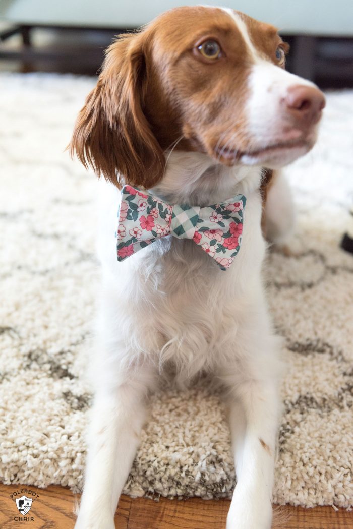 Learn how to sew a bow tie that really ties! A free simple free sewing tutorial on polkadotchair.com