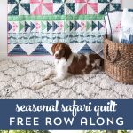 Seasonal Safari Quilt Pattern - offered as a free quilt along this Fall from the polkadotchair.com blog!