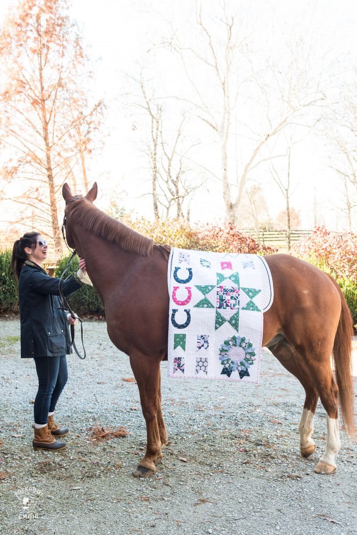 Derby Sampler quilt by melissa mortenson of polkadotchair.com - a fun horse and equestrian themed sampler quilt pattern using Derby Day Fabrics