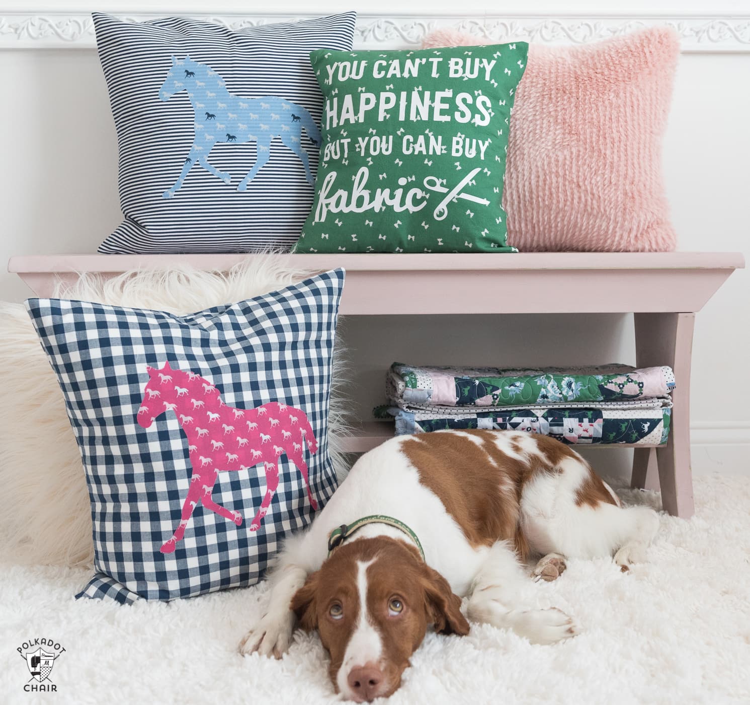 Dog in front of DIY Horse themed pillows