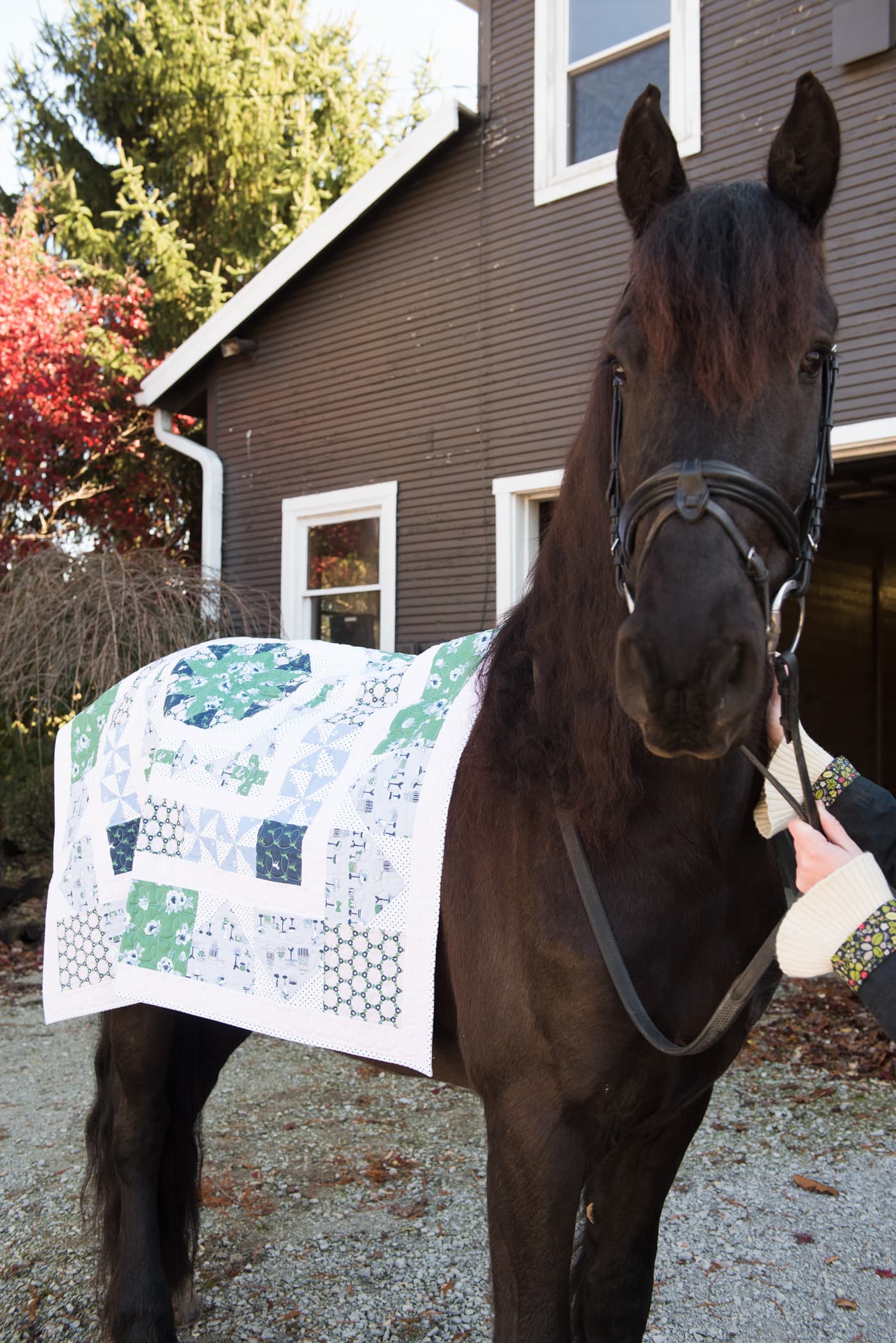 Learn how to make a medallion quilt; the Derby Days Medallion Quilt pattern, a free quilt pattern 