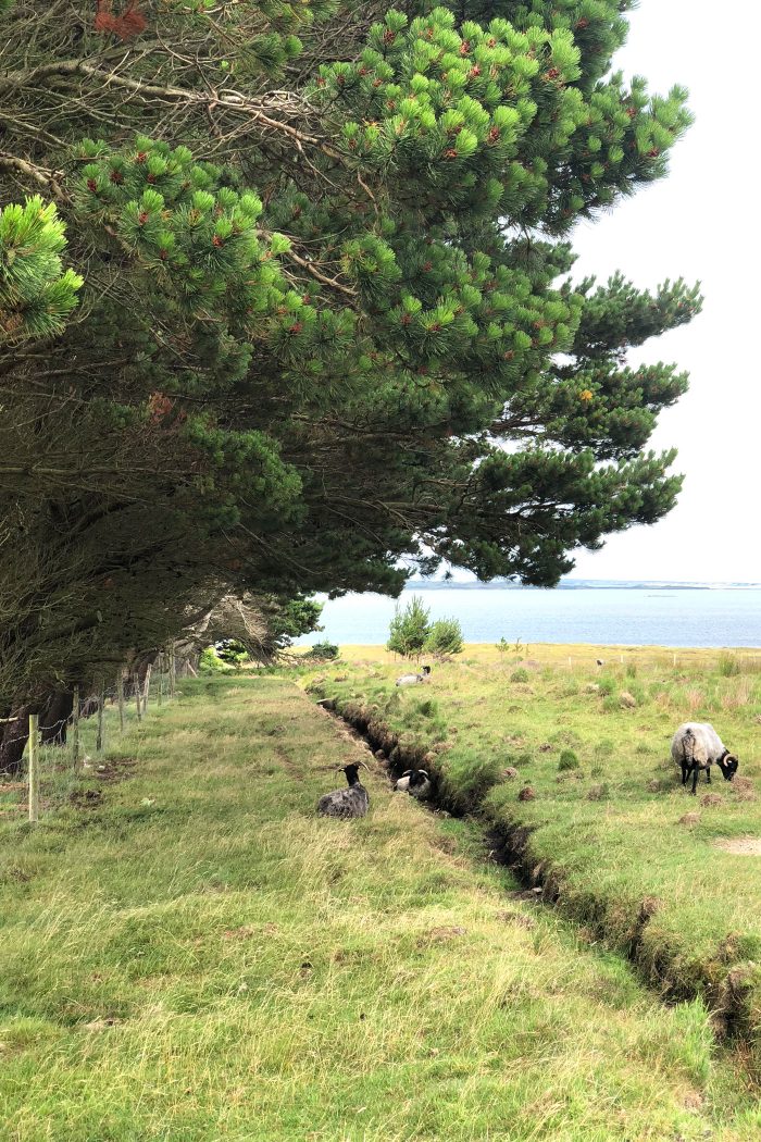 Great Western Greenway in Ireland