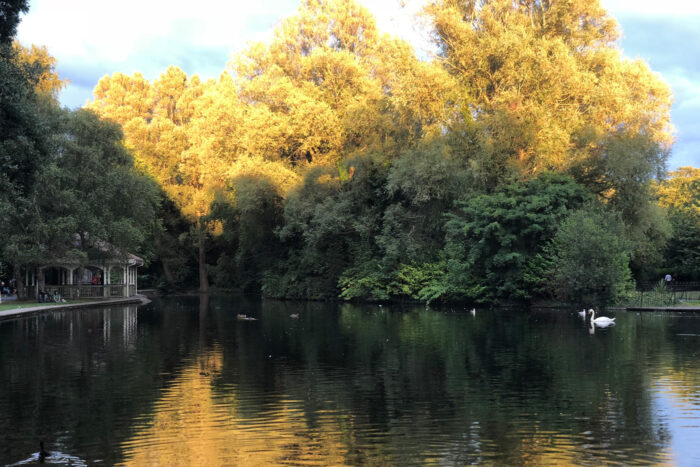 st. stephens green at sunset