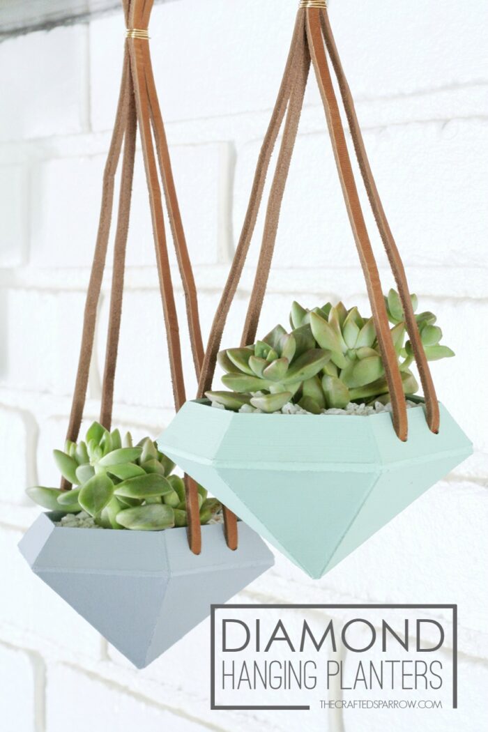 diy succulent planters