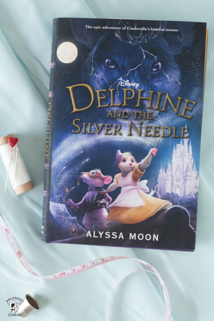 cover of Delphine & the Silver Needle book