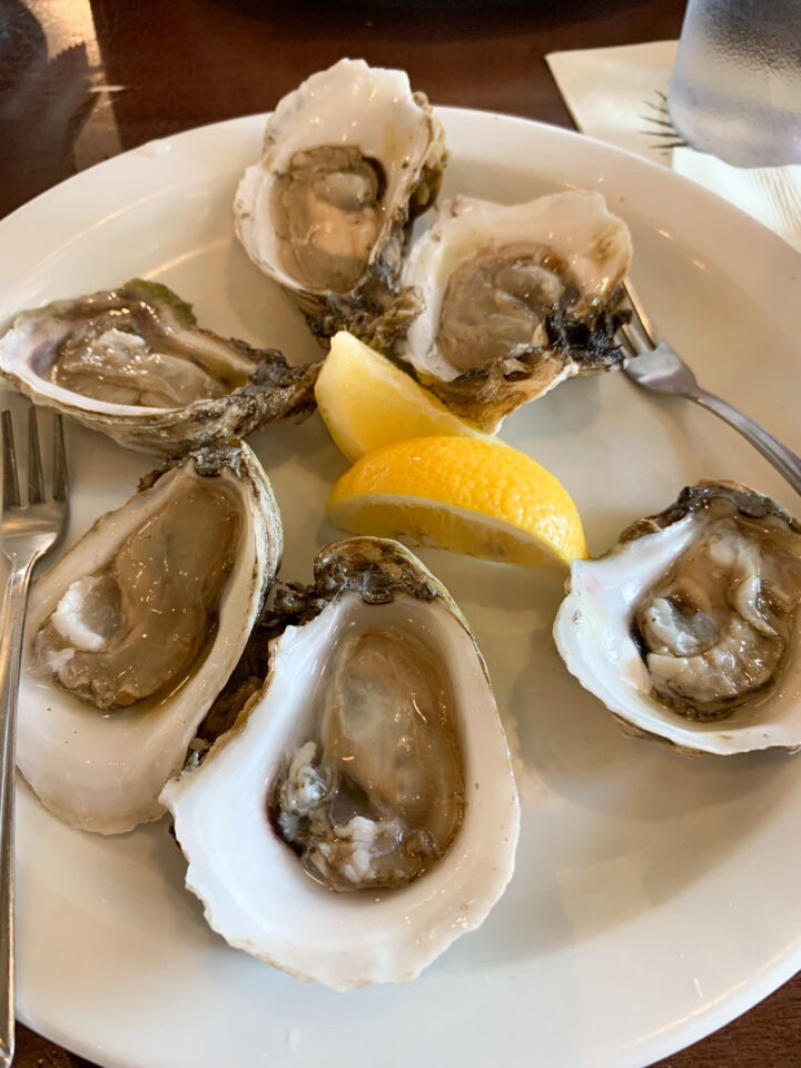 Oysters on plate