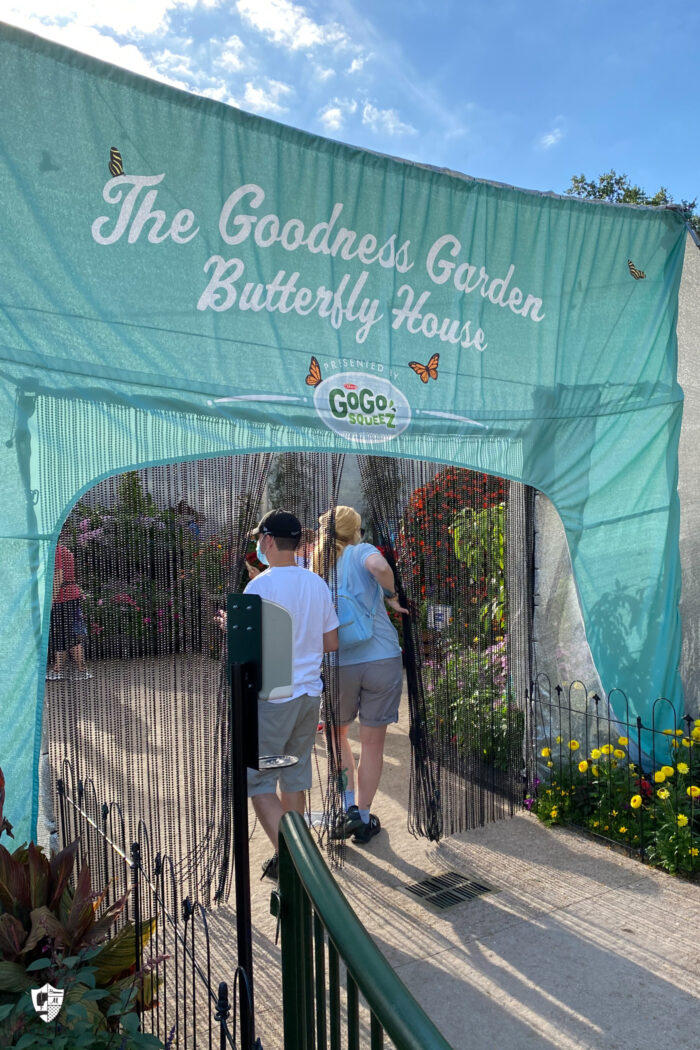 Couple walking into butterfly garden at epcot