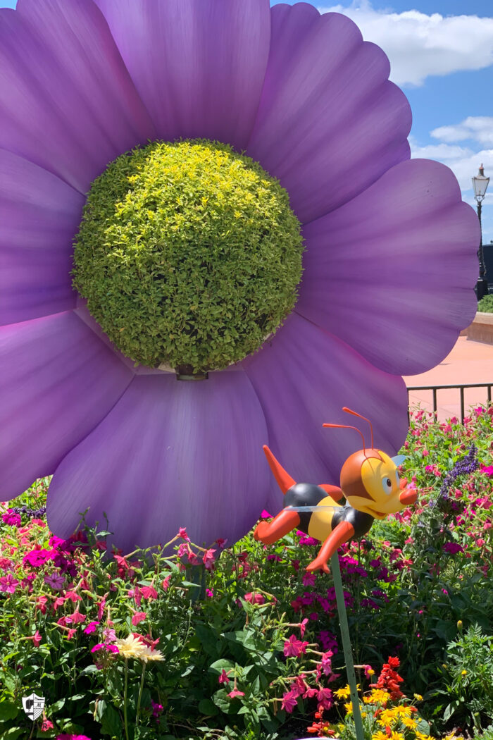 spike the bee in front of giant purple flower
