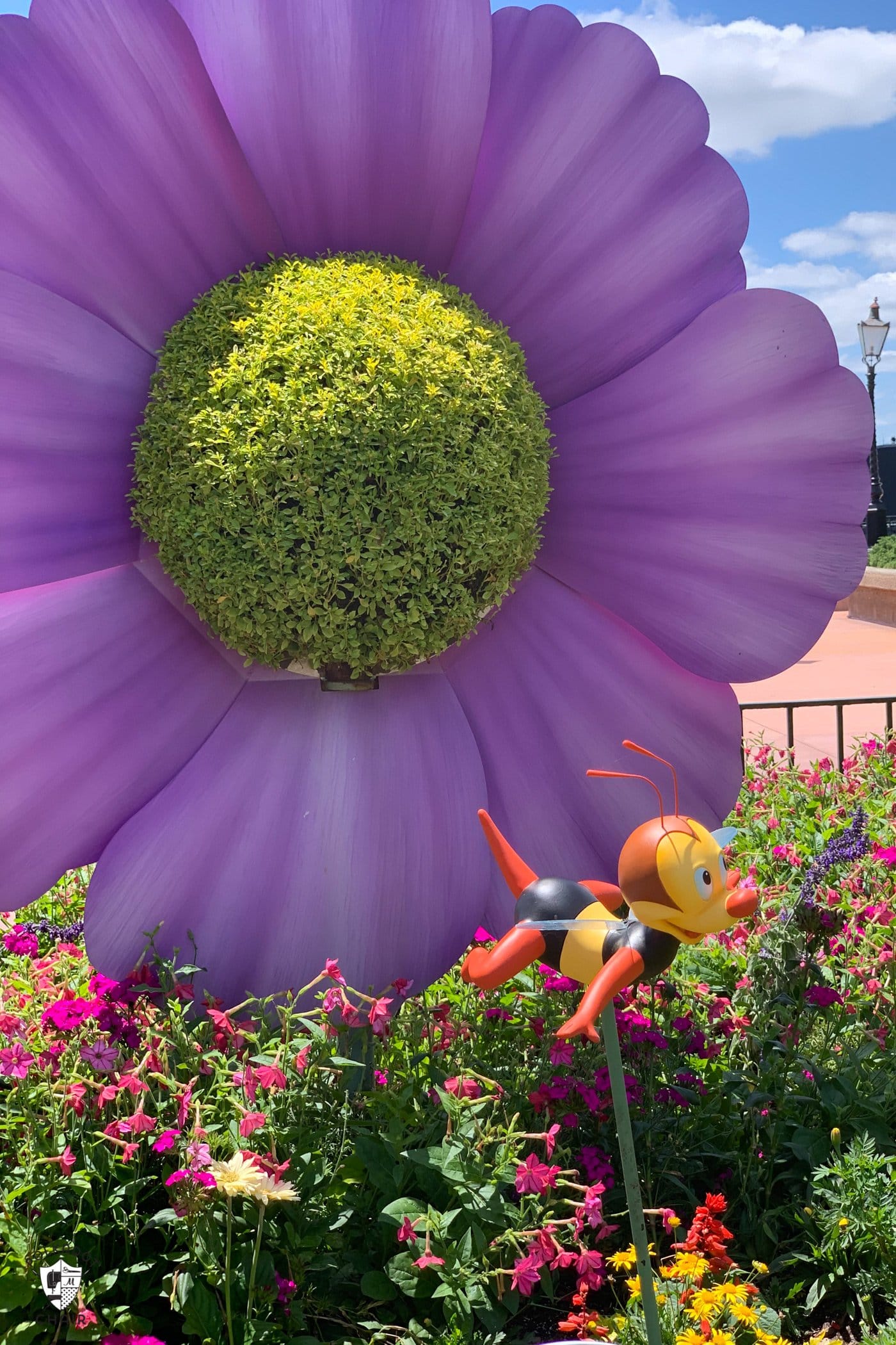 spike the bee in front of giant purple flower