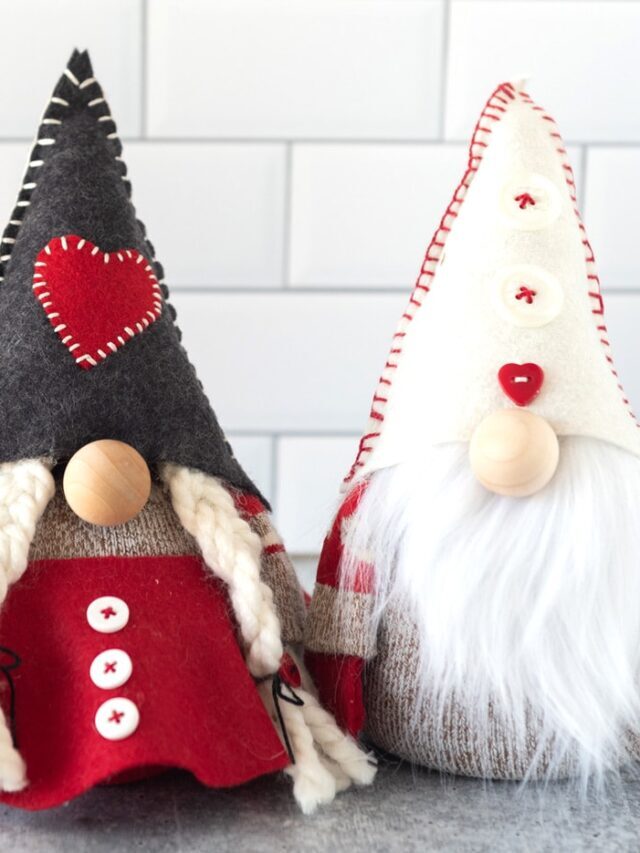 How to Make ADORABLE Boy & Girl Christmas Gnomes Story