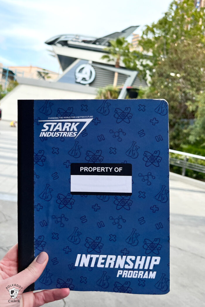 close up of Stark notebook in front of scene at Disneyland
