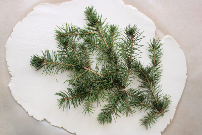 evergreen branches on white clay
